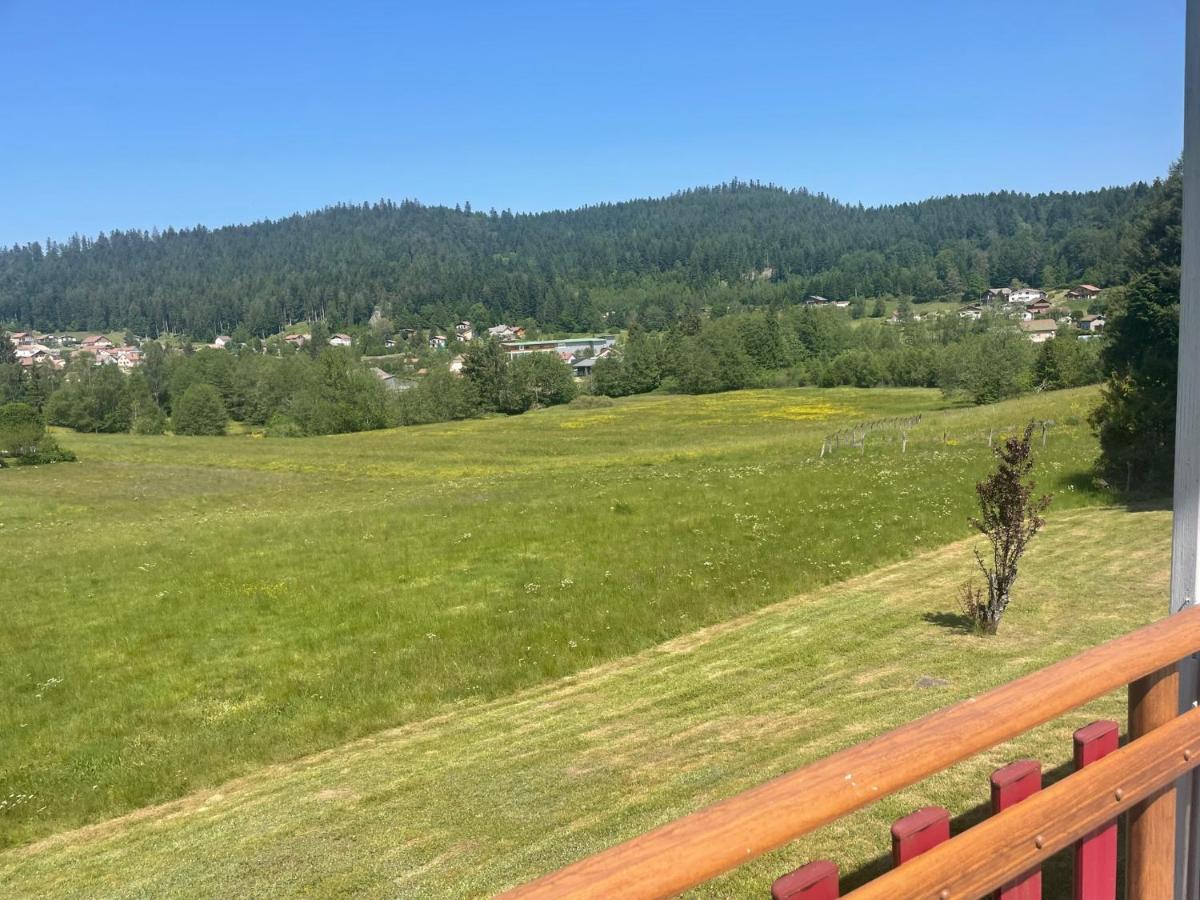 Chalet Le Cedre Bleu 10 P - 10 Min De Gerardmer Ле-Толи Экстерьер фото